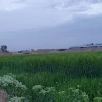 فروش-فوری-ملک-تجاری-قلعه-مبارک-اباد