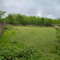 فروش ۴/۵۰۰متر گاوداری سند تک برگ|فروش دفتر صنعتی، کشاورزی، تجاری|ماکلوان, |دیوار