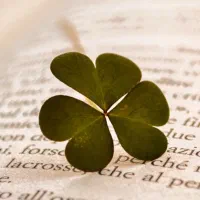 آموزش خصوصی زبان انگلیسی