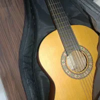 گیتار نو پارسی m2