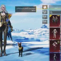 اکانت پابجی توضیحات بخونید|کنسول، بازی ویدئویی و آنلاین|شیراز, زرهی|دیوار