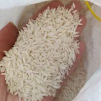 برنج هاشمی