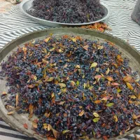 اب زرشک کوهی طبیعی