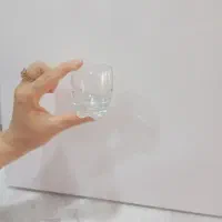 دوست استکان خیلی کوچک نو نو
