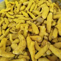 پخش عمده ادویه، گیاهان دارویی و روغن گیاهی|عمده‌فروشی|قم, قلعه کامکار|دیوار