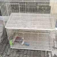 قفسه برای انواع پرندها مخصوصا عروس هلندی