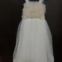 دوعددتور