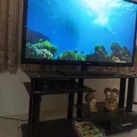 تلویزیون 65ال. ای دی و50|تلویزیون و پروژکتور|شیروان (خراسان), |دیوار