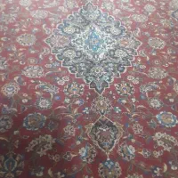 قالی کاشان ۱۳ متری و چندتا دیگه|فرش|ری, فیروزآبادی|دیوار