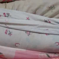 تشک پنبه