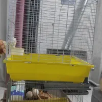 قفس بزرگ و کوچک