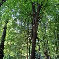 فولبرد تورهای گردشگری دوستانه با سوری آبانماه