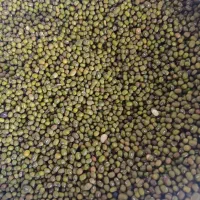 احبوبات به قیمت عمده عدس ۱۱۰ چیتی ۲۶۰ لپه ۲۱۰|خوردنی و آشامیدنی|اسلامشهر, زرافشان|دیوار