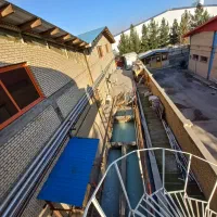 فروش کارخانه لبنیات خامه قنادی پنیر پیتزا