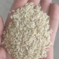 برنج عنبر بو درجه یک