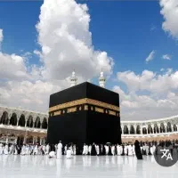 یک عدد فیش حج