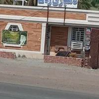 خرید خرمای با کیفیت به صورت نقدی
