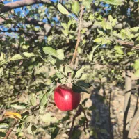 باغ شهر کودیان با سند و آب و برق