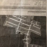 زمین سند تک برگ شکاری (منطقه ۱) رشت بافت تازه