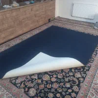 پلازموکت|موکت|شاهین‌شهر, شهرک گلدیس|دیوار