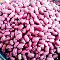 لوبیا قرمز ایرانی زودپز ۳۳۹/۰۰۰ حبوبات دستچین