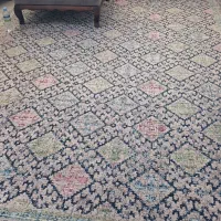 فرش فرهی ۹ متری|فرش|قائم‌شهر, |دیوار