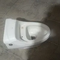 تولدت فرهنگی
