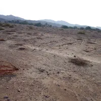 زمین کشاورزی|فروش دفتر صنعتی، کشاورزی، تجاری|فین, |دیوار