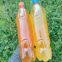 آبغوره طبیعی