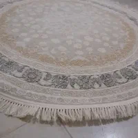 قالی|فرش|اهواز, کوی نیرو|دیوار