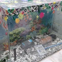 آکواریوم شیشه خم