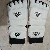 روپایی تکواندو