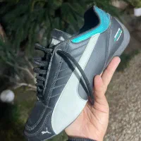 کتونی اورجینال puma petronas amg|کیف، کفش، کمربند|ساری, |دیوار