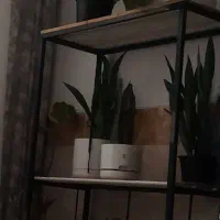 استند|کتابخانه، شلف، قفسه‌های دیواری|گرگان, |دیوار