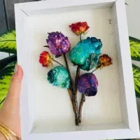رزین|کلکسیون و سرگرمی|سنندج, |دیوار
