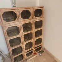 جفتگاه کبوتر