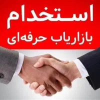 ویزیتور و فروشنده