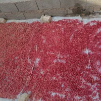 ناردونه|خوردنی و آشامیدنی|شیراز, قلعه نو|دیوار