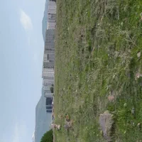 فروش زمین جای سرمایه گذاری پشت آرد سازی نزدیک جاد|فروش زمین و ملک کلنگی|مشگین شهر, |دیوار