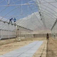 گلخانه/گلخانه سازی/پلاستیک گلخانه/پلاستیک کشی/شید
