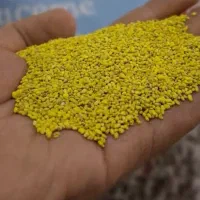 بذر یونجه درجه یک کشت امسال