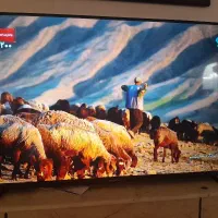 تلویزیون ال ای دی ۴۳اینچ، دوو