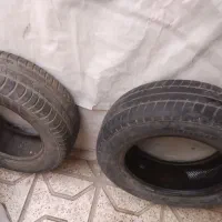 لاستیک ساینا
