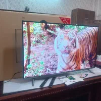 ال ای دی دوو 55 اینچ هوشمند، فورکی، کم کار