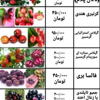 نهال پشن فروت و گواوا و انبه و موز و انواع استوایی|گل و گیاه طبیعی|ساری, |دیوار