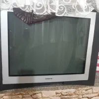 تلوزیون