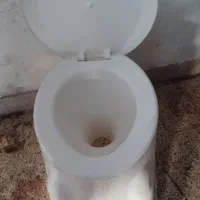 توالت فرهنگی