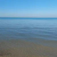 جویای کار در عطاری