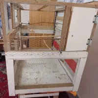 قفس پرنده|لوازم جانبی حیوانات|تربت جام, والفجر|دیوار
