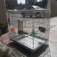 آویز دستگیره قلاب قفس سهره قناری